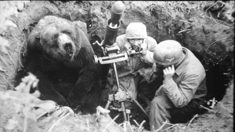 Wojtek: El oso que luchó en la guerra